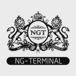 NG Terminal Ltd logo