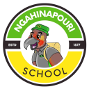Ngahinapouri School logo