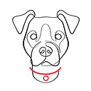 N.G. Collars