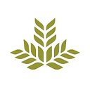 THE MEDICAL CENTER FOUNDATION INC DBA logo