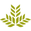 Northeast Georgia Medical Center Habersham logo