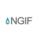 Ngif Capital logo