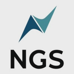 NGS Security Ltd logo