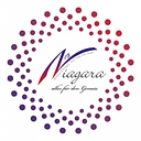 Favicon of Niagara Warenhandels GmbH