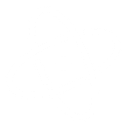 Niantic Spatial, Inc. logo