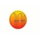 Niche Generics Limited logo