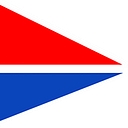 Nigen International logo