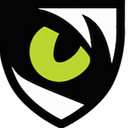 Night Fision logo