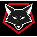 Nightfox Investigations and Debt Recovery Ltd logo