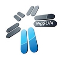 Nigsun Telecom logo