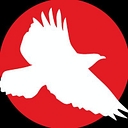 Nimblesoft logo