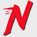 Ninja Camper Vans logo