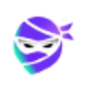 Favicon of Ninja Concepts