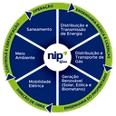 NIP do Brasil logo