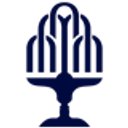 Nera Telecommunications Ltd logo