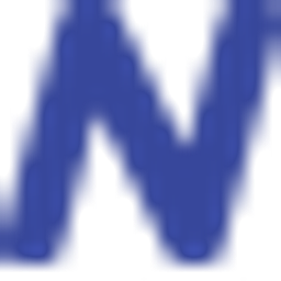 Nisiusa INC logo