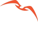 Human Risk Management & Digital Investigations