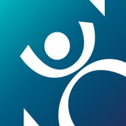Nissi Group, INC. logo