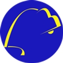 Nitelite Pictures logo