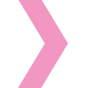 Niya logo