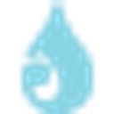 Clearon Corp logo