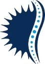 Nj Spine & Orthopedic logo