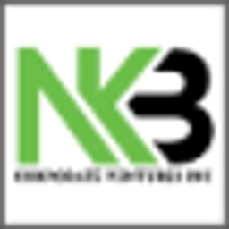 NKB Corporate Venture INC logo