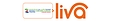 Trusted Business Insurance Solutions in UAE | NLG Insurance Experts