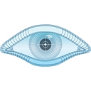 NMAP Logo