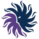 New Mexico Cancer Center  New Mexico Oncology Hematology Consultants, Ltd logo