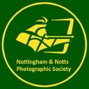 Nnps logo