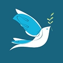 Noah Homes logo