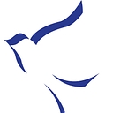 Noah Project logo