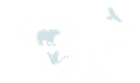 Noahs Ark logo