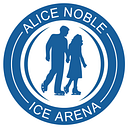 Ania Ice Inc logo