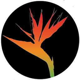 Noches de Colombia logo