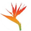 Noches De Colombia logo