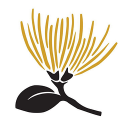 Noeau Designers logo