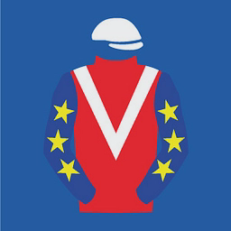 Noel Fehily Racing Ltd logo