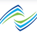 Noesis Group, Inc logo