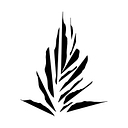 NOHO HOME Hawaii logo