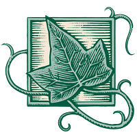 Village at Cook Springs logo