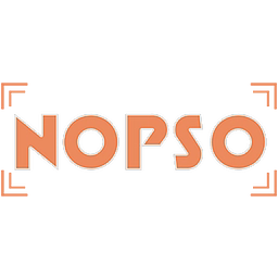 NOPSO LTD logo