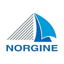 Norgine 2 logo