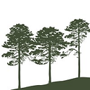 The Norman Family Foundation Inc logo