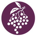 Norm's Farms logo