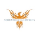 Noro Intellectual Property logo