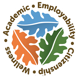 Norris Academy Virtual School logo