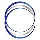 Premium Nickel Resources Ltd logo