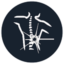 Northeast Pain Management logo